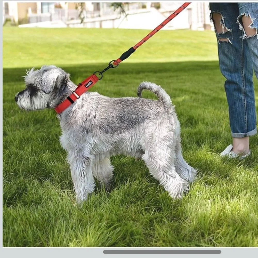 *Bundle Item 50% off* Medium Pink Dog Collar 13- 15 inches